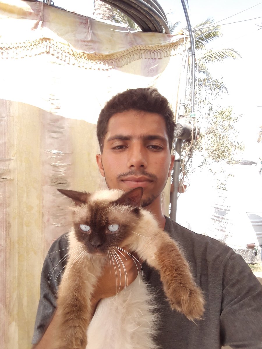 Dr_Mustafa5's tweet image. Miko and I are still alive in Gaza🇵🇸