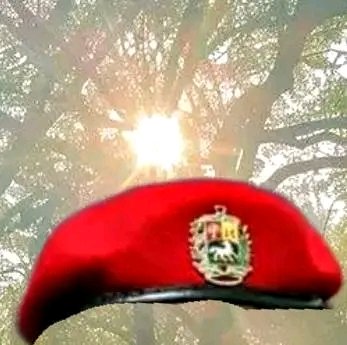 ✨✨✨...La ternura de este amigo es la luz desparramada...✨✨✨
#Cuba 
#ChavezVive