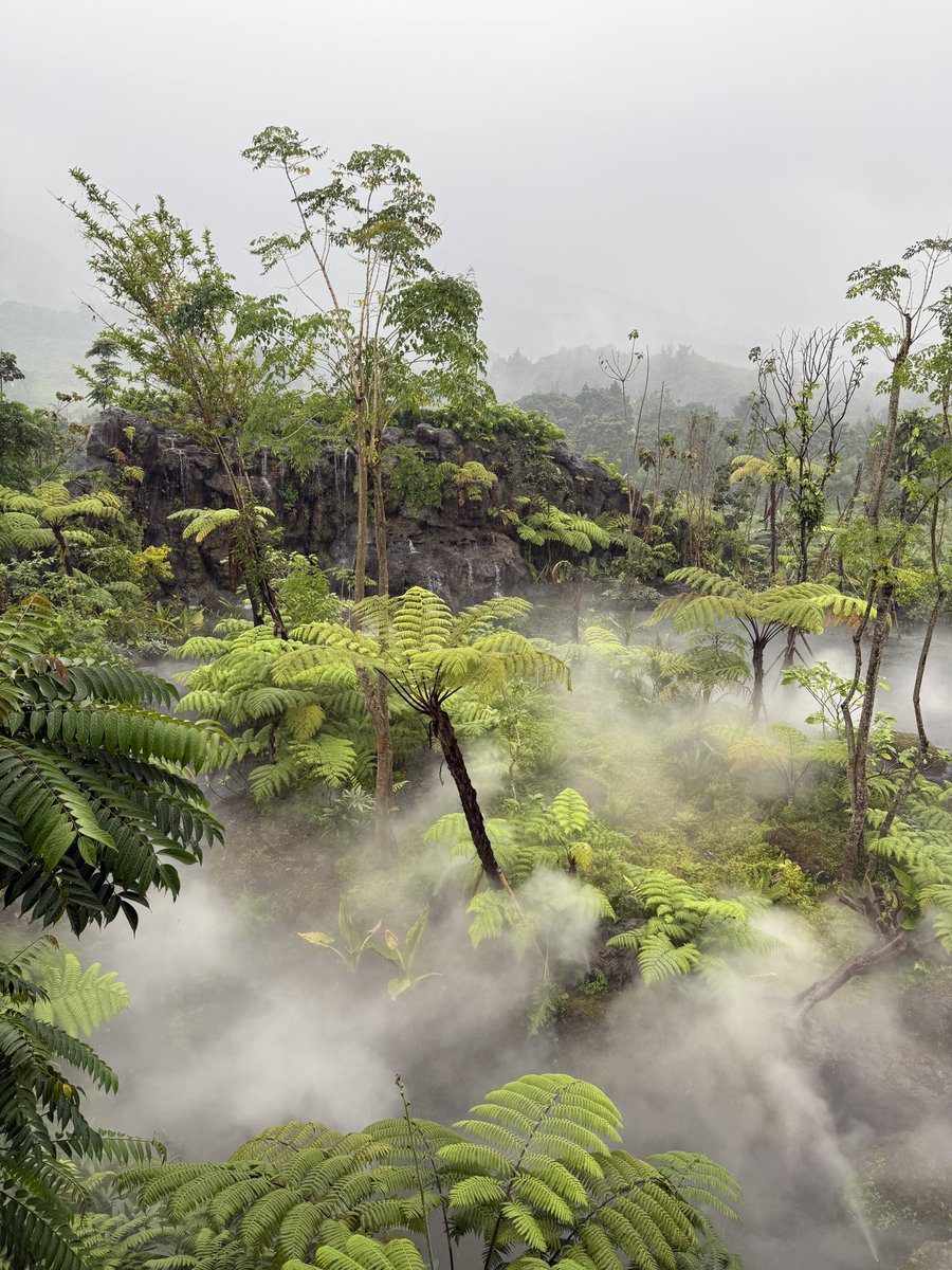 putranicholas1's tweet image. Penasaran habis nongol di fyp