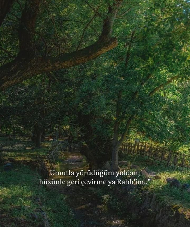 ‘‘Çok sakinleştirici bir söz’’..