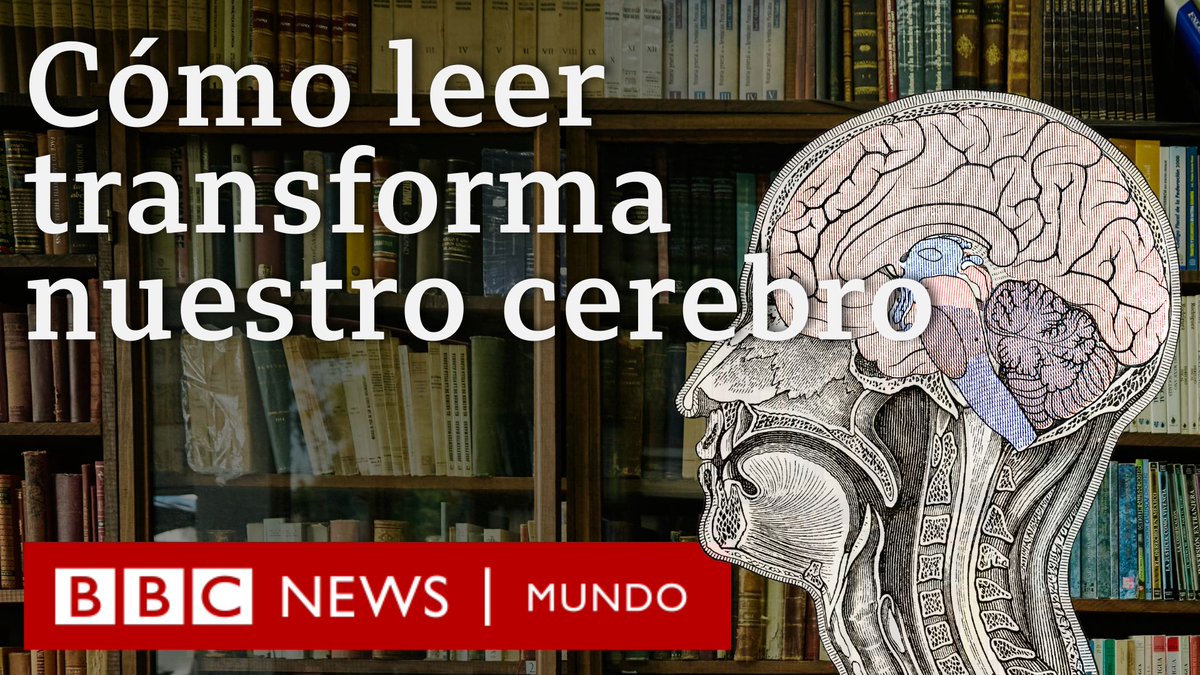 BBC News Mundo (@bbcmundo) on Twitter photo La lectura no es una habilidad con la que nacemos: son circuitos cerebrales que la humanidad tardó miles de años en desarrollar. 🧠 Pero ¿puede ser que esté en riesgo debido a los excesos de la tecnología? <a href="/gonzalo_cabus/">Gonzalo Cañada</a> te lo cuenta en este video. 👉 bbc.in/3IQEJI5 La lectura no es una habilidad con la que nacemos: son circuitos cerebrales que la humanidad tardó miles de años en desarrollar. 🧠 Pero ¿puede ser que esté en riesgo debido a los excesos de la tecnología? <a href="/gonzalo_cabus/">Gonzalo Cañada</a> te lo cuenta en este video. 👉 bbc.in/3IQEJI5