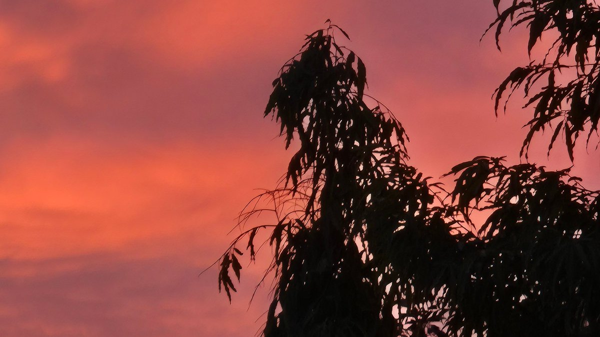 the red in July