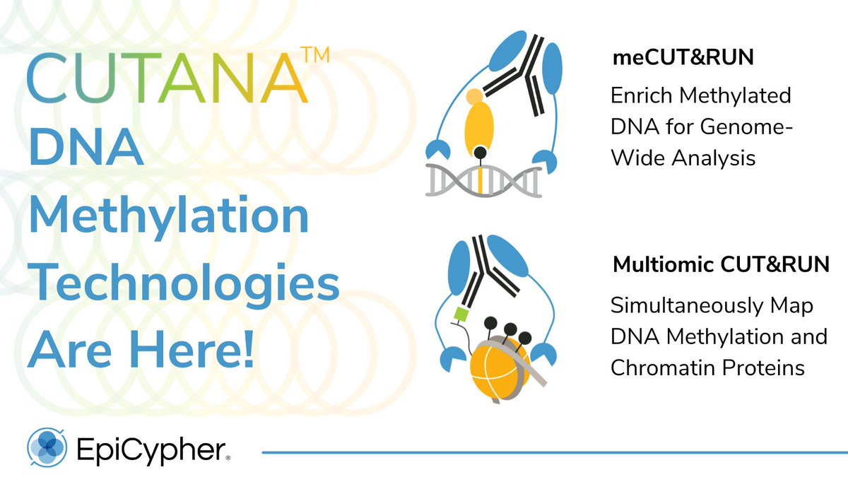 epicypher's tweet image. 🔥 Ready to kickstart your DNA methylation mapping studies? Explore our low-cost tech:
🧬 meCUT&RUN
Genome-wide DNAme insights—without the whole-genome price tag.
🌐 Multiomic CUT&RUN
Profile DNA methylation & chromatin proteins in a single reaction.
🔗 epicypher.com/products/dna-m…