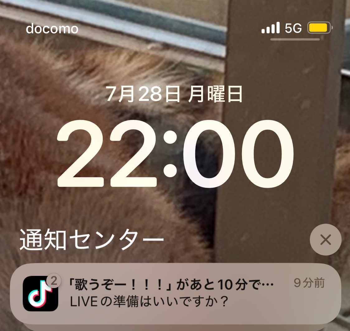 Suu_hotaruru's tweet image. よくないです😢😢😢