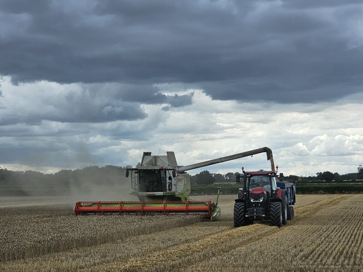 Harvesting under some grey skies.