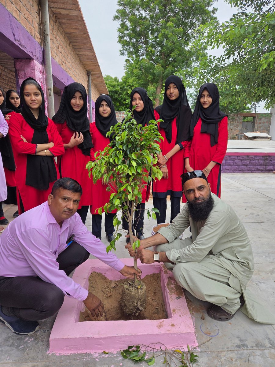 gullyclasses's tweet image. 1/4 - Big news! 🎉 Gully Classes Foundation & #LittleStepsAcademy teamed up on July 26, 2025, for a special sapling plantation drive in Basni Belima, Nagaur! 🌱 Under our #EkPedMaaKeNaam campaign, we're growing a greener future! #GullyClassesFoundation #BasniBelima #Nagaur