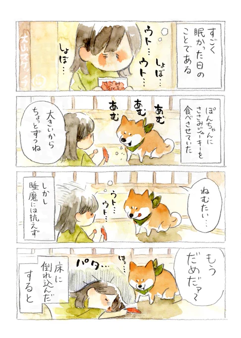 ささみジャーキーのちから(1/2) 