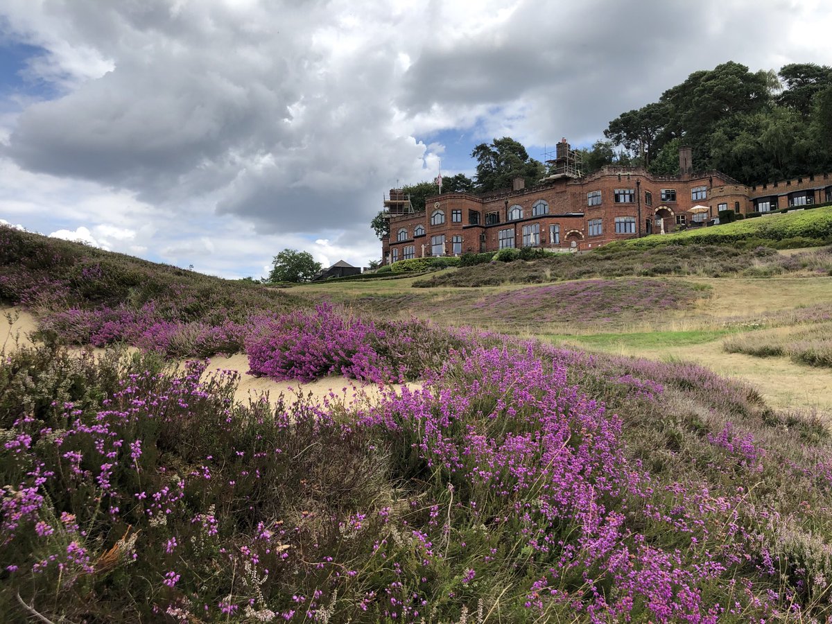 St George's Hill Golf Club tweet media