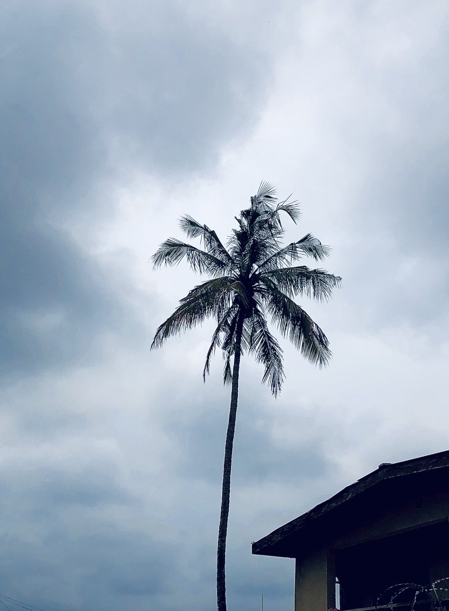 TheKamallll's tweet image. 📍: Location Unknown, Ibadan. (Guess if you can)

🗓️: 28. 07. 25

📸 : iPhone 8plus