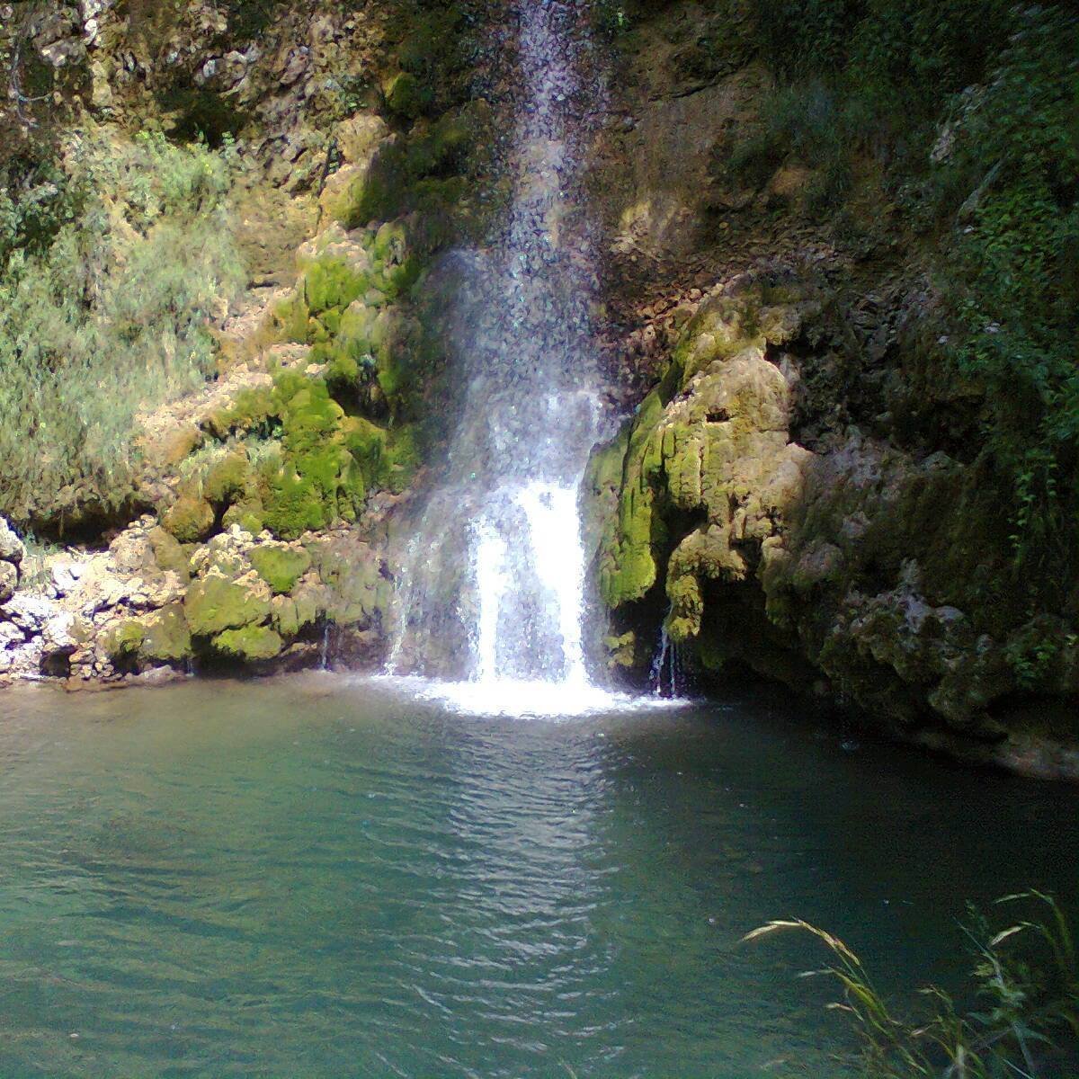 DN9981's tweet image. Veliki buk,Lisine.