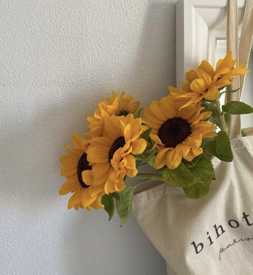 sunflowers