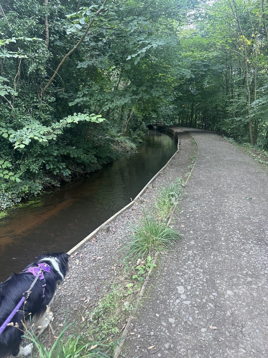 KinlochSusan's tweet image. Country park Monday walk ๐ถ๐ณ๐ด๓ ง๓ ข๓ ณ๓ ฃ๓ ด๓ ฟ๐ค๏ธ