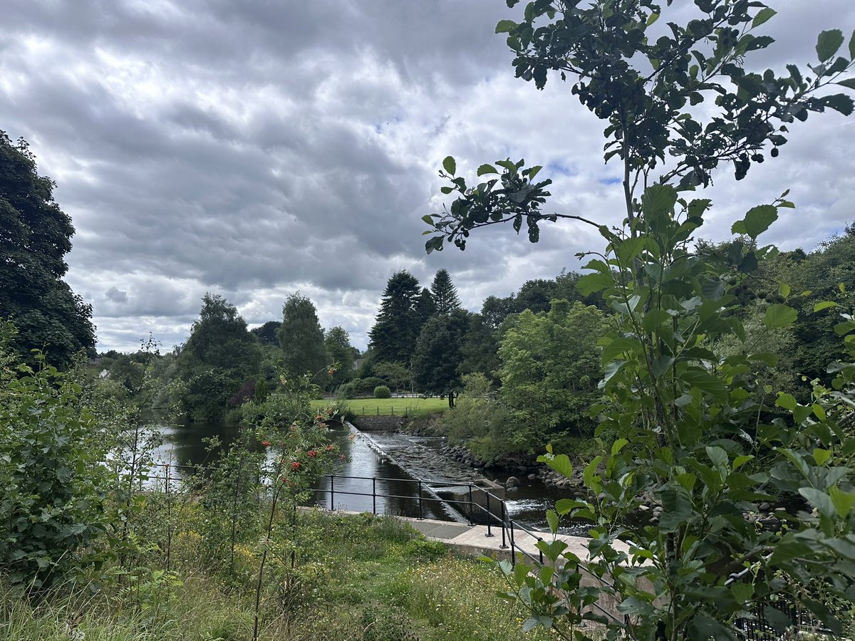 KinlochSusan's tweet image. Country park Monday walk ๐ถ๐ณ๐ด๓ ง๓ ข๓ ณ๓ ฃ๓ ด๓ ฟ๐ค๏ธ