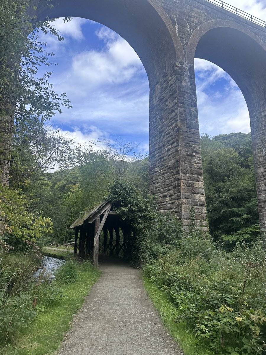 KinlochSusan's tweet image. Country park Monday walk ๐ถ๐ณ๐ด๓ ง๓ ข๓ ณ๓ ฃ๓ ด๓ ฟ๐ค๏ธ