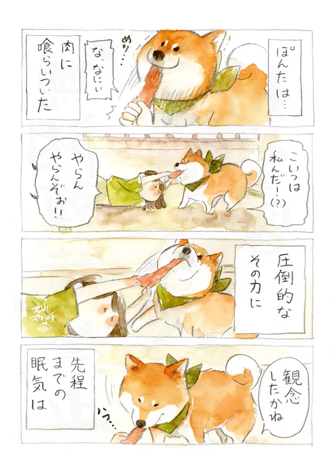 ささみジャーキーのちから(2/2) 