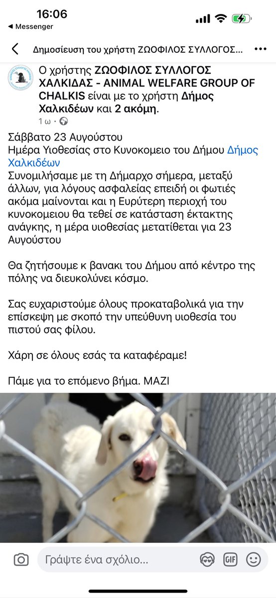 Σαββατο 23 Αυγουστου ημερα υιοθεσιας στο κυνοκομειο Χαλκιδας! Στηριξτε υιοθετοντας υπευθυνα ωστε ν´ αδειασουν τα κλουβιά