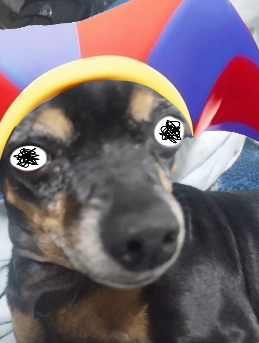 droidfox_025's tweet image. Variantes do Jiló