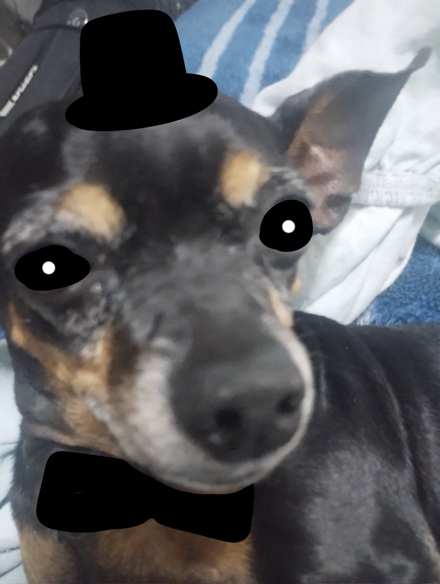 droidfox_025's tweet image. Variantes do Jiló
