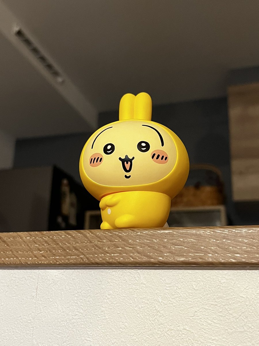 yukineko19's tweet image. ハァ？