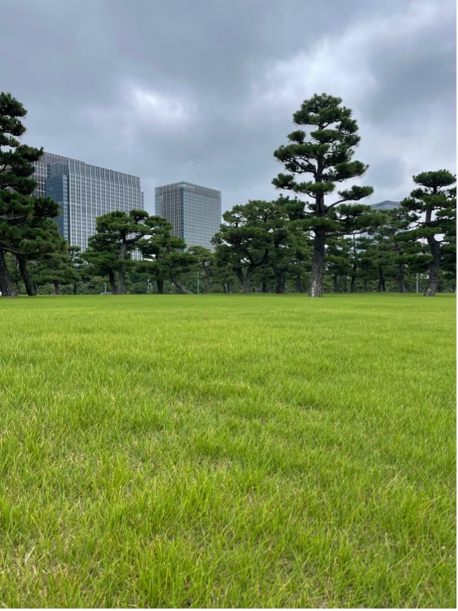 CERTES Global tweet media