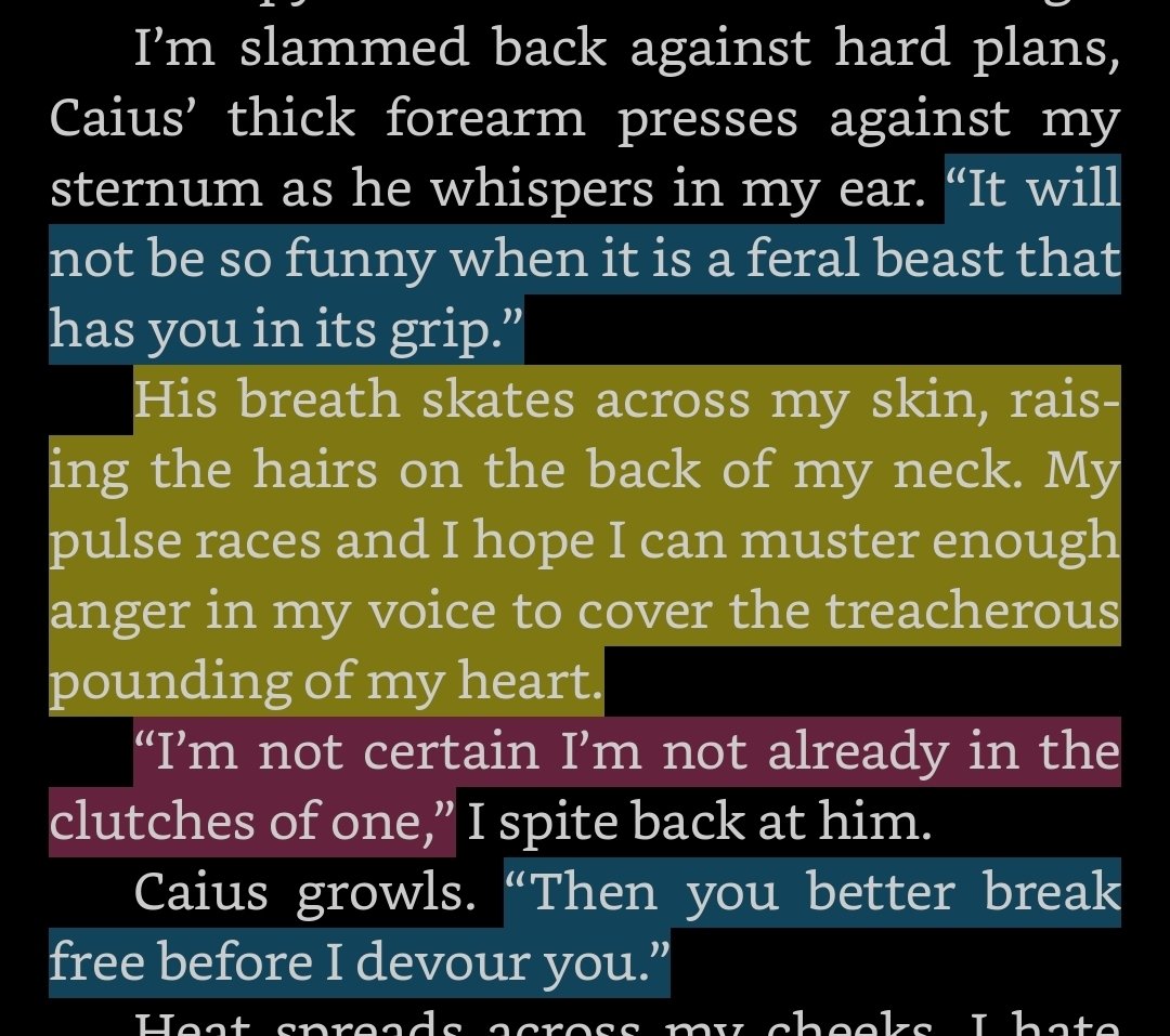 AmberRaeToro's tweet image. POV the tension in an enemies to lovers just hits different...

Aether and Bone ⚔️❤️‍🔥🐉
