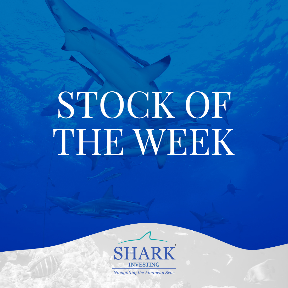 RevShark's tweet image. My Stock of the Week for July 28 is live and features a name that has a strong partnership in place with $NVDA and who $GS says is a "leading player in the #AI market". Read more at sharkinvesting.com/stock-of-the-w…