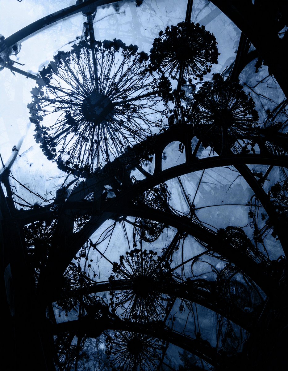 Thom4227's tweet image. Day 574 #JedenTag
Thoughts β (Arcs and Decisions)
