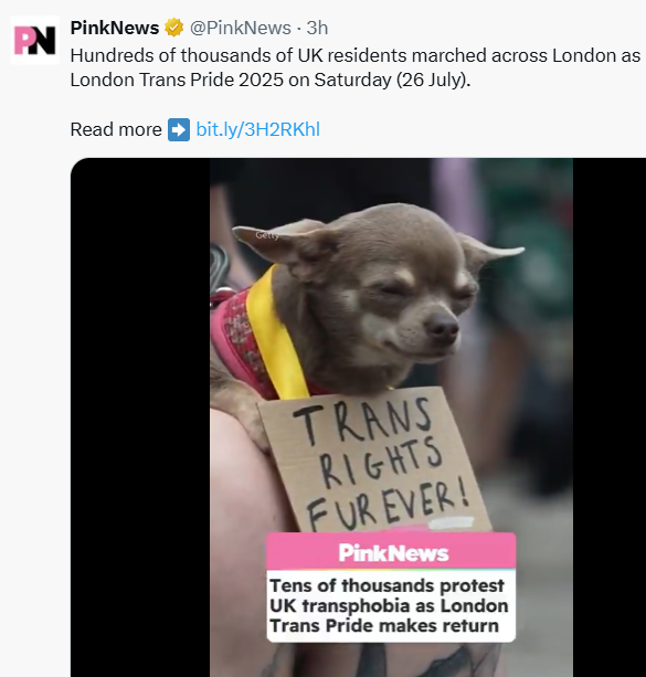 ChasteHorniman's tweet image. Remember folks,
#TransRights r #FurryRights
(especially a furry in full fursuit, but the crotch is cut out to present her female pen1s)