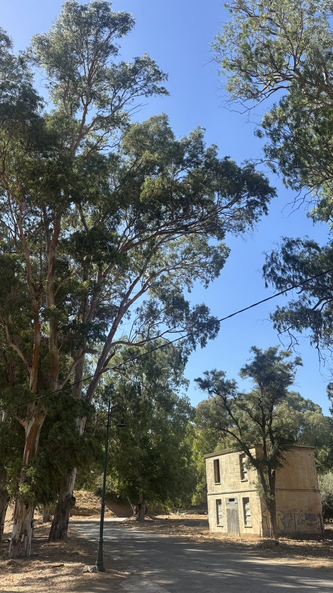 αναΜορφωση tweet media