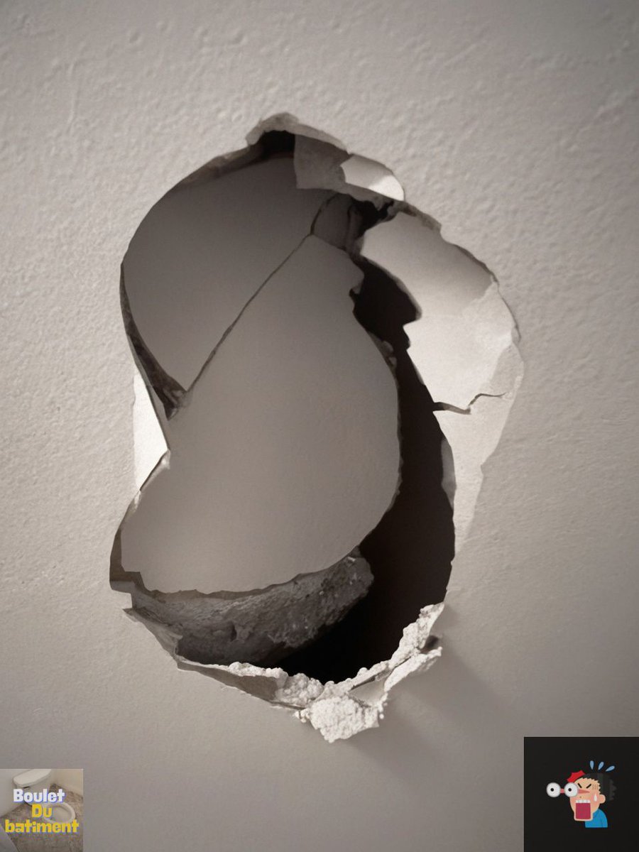 bouletbatiment's tweet image. Lui offrir un tableau accroché au mur 🤣