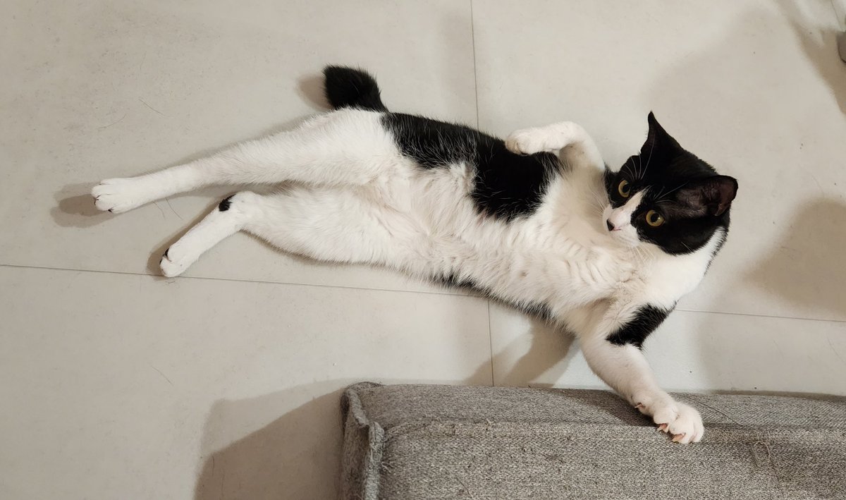 누나들 시간 잇서 ? 🍙