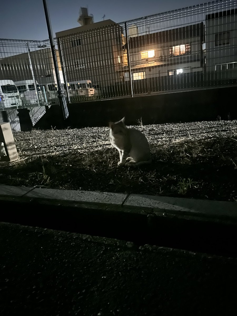 m_a_r_i_0130's tweet image. みつけた！
さっきのこと謝りました。