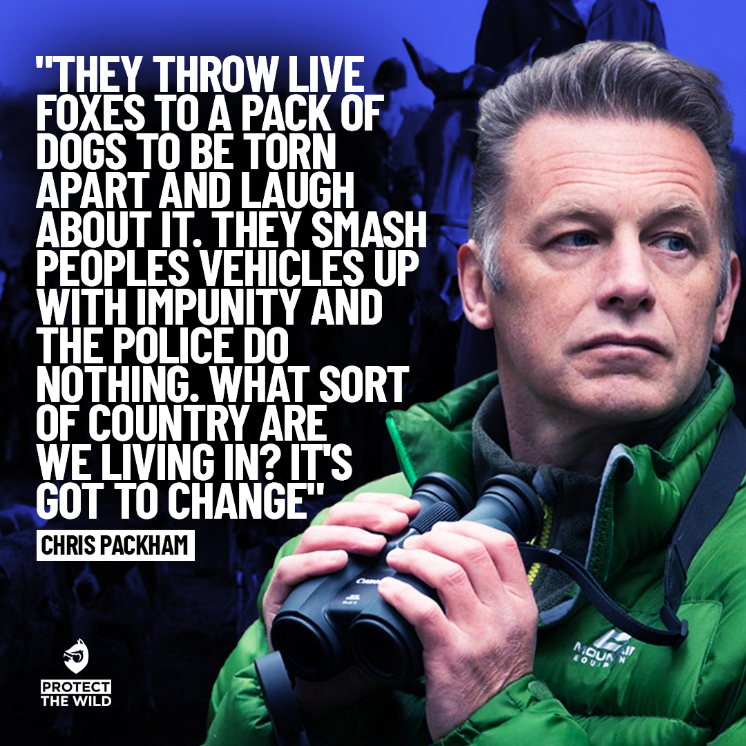 A public consultation on fox hunting is just weeks away, play your part in ending this sick pastime for good!