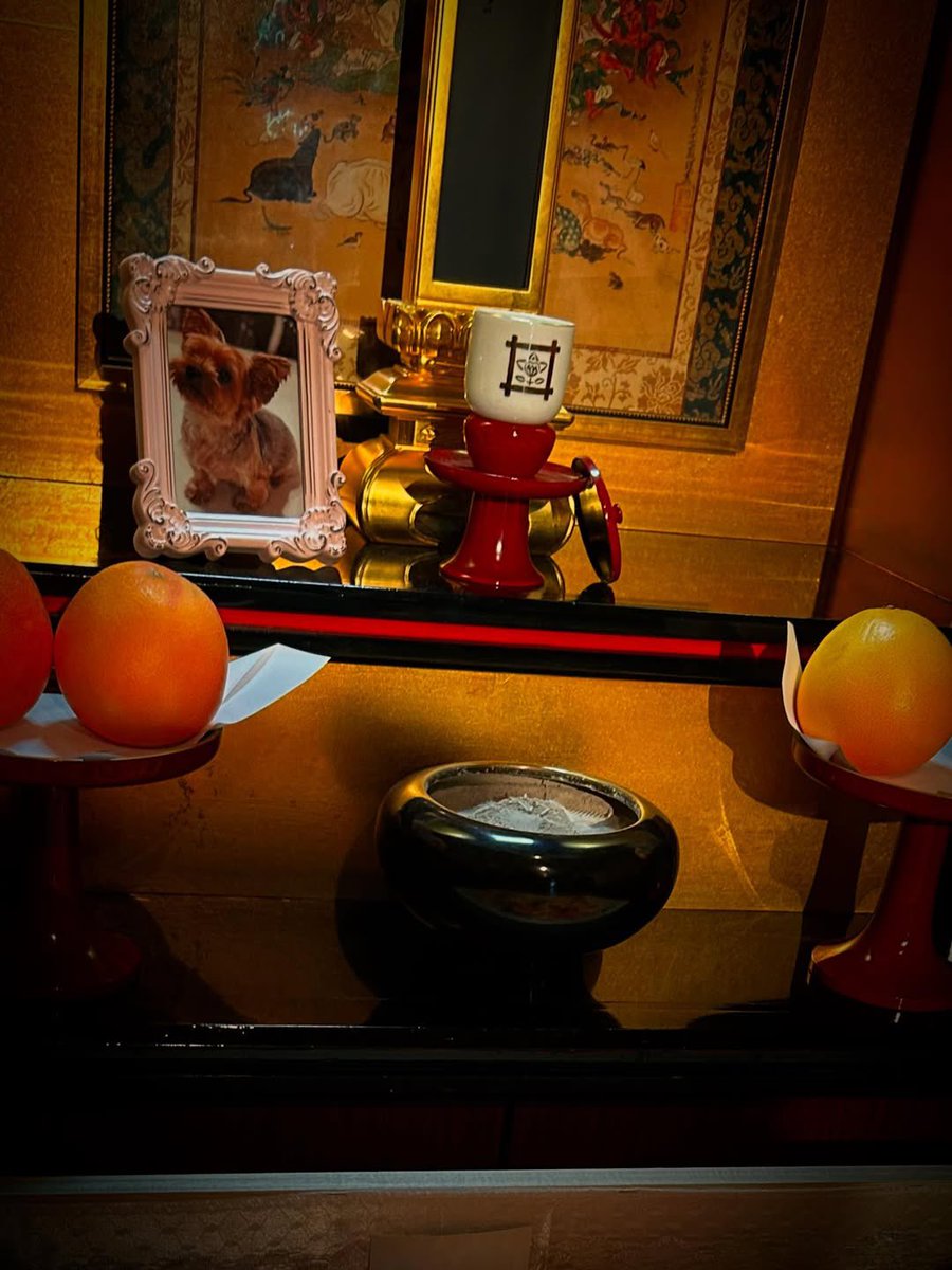 [INSTA UPDATE]

Ayu's beloved Yorkie, Oreo has sadly passed away.

A small memorial service was held at her home today in his honor 💞

#ayumihamasaki #浜崎あゆみ