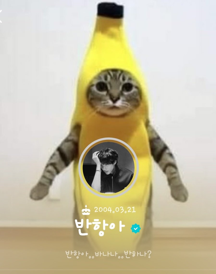 BRIIZeeeeeeeee's tweet image. 🍌 반항아..바나나..반하나?