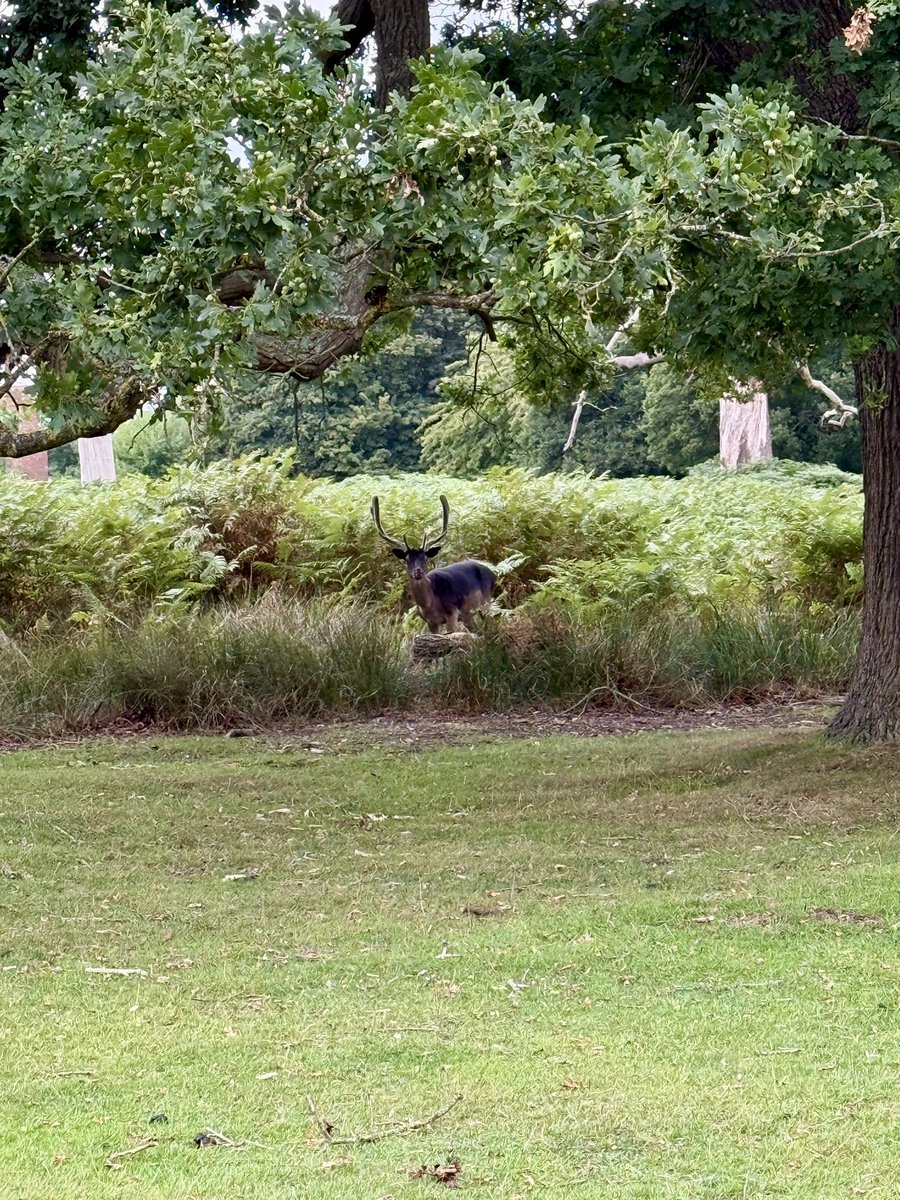 Steve Rigby tweet media