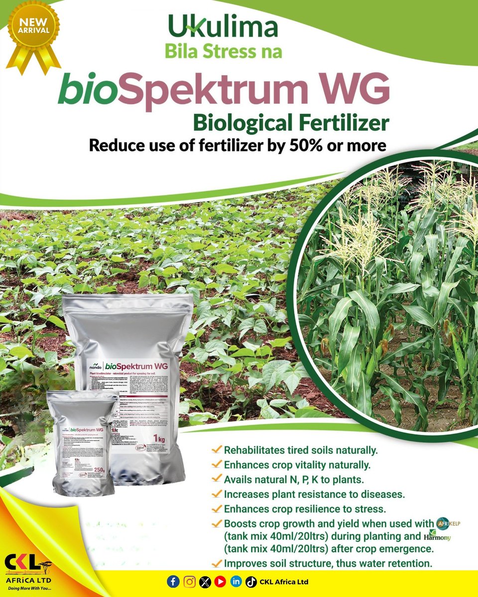 Ukulima Bila Stress! Say hello to healthier soils and bigger harvests with bioSpektrum WG – the biological fertilizer that cuts your chemical fertilizer use by over 50%!
🟢 Better yields
🟢 Stronger crops
🟢 Naturally improved soil
 #SmartFarming #SustainableAgriculture