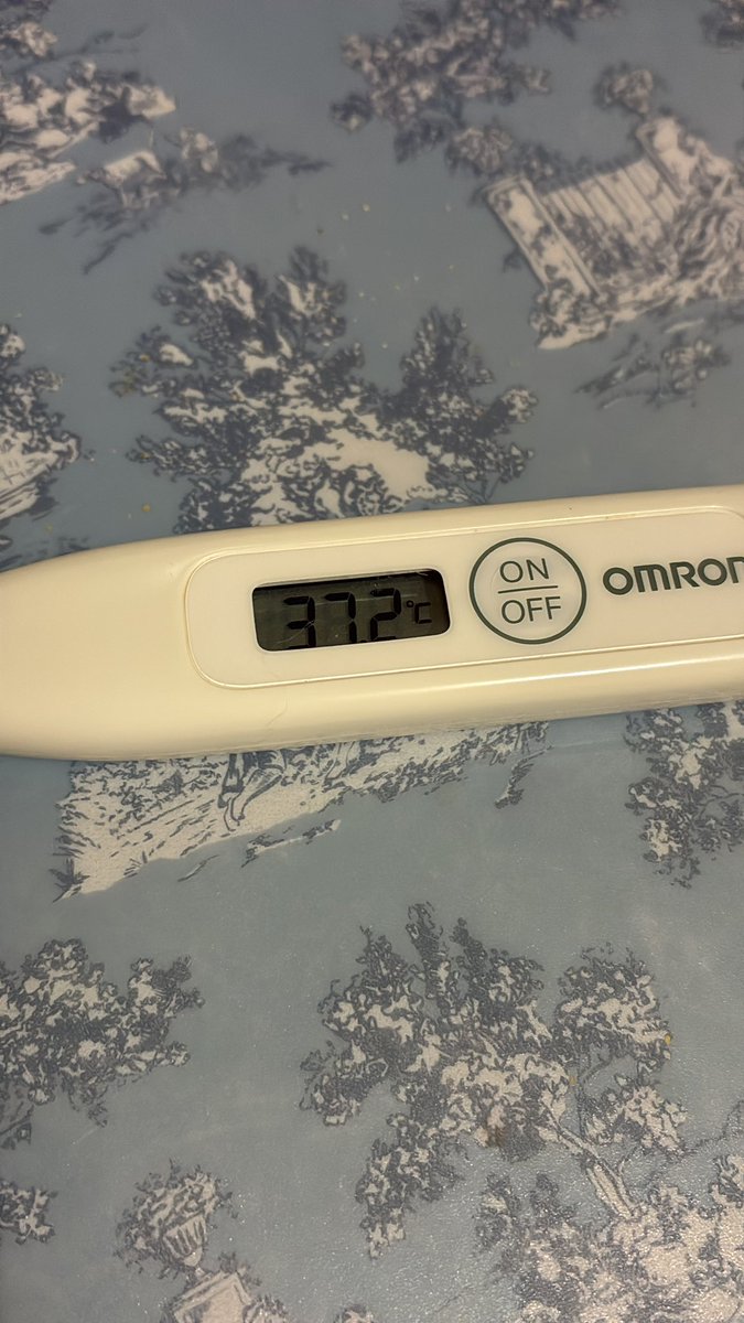 LeliMyorushii's tweet image. 微熱だけど、鼻づまりがひどくて息ができないのでかろうじて起きてます😰

皆様、お体ご自愛ください。おやすみなさい。🌃🌌