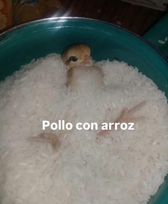 Memakker (@memakker) on Twitter photo 