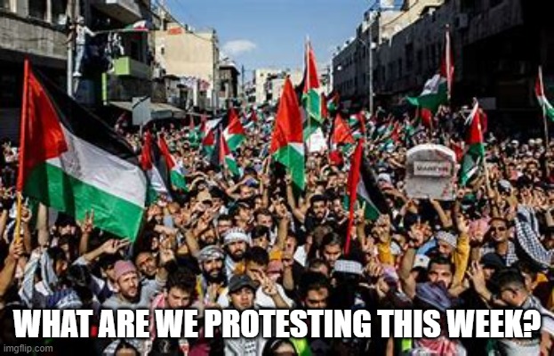 Canadian Troll (@rjm7708) on Twitter photo 