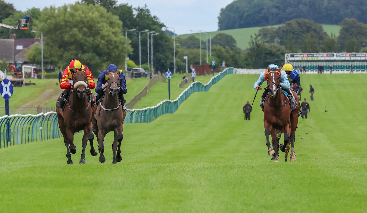 Nice shots of Mighty Magnus winning in good style under <a href="/connorbeasley9/">Connor Beasley</a> at <a href="/ayrracecourse/">Ayr Racecourse</a>  - giving us our 10th winner in July. 
Congratulations to owner Frank Lowe.