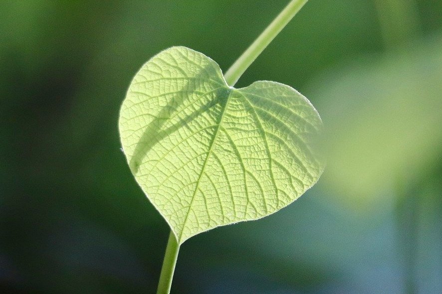 thetaoishway's tweet image. Monday Mindfulness 🙏🍃🧘♂️
"We set a goal to achieve in the future, but we can only experience now."
#Mindfulness #MondayMotivation #quotesoftheday #SelfLove #SelfCare #wisdom #lifestyle #zen #taoish