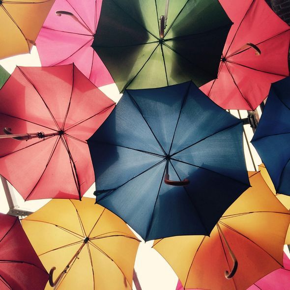 Bodleian Health Care Libraries (@bodleianhcl) on Twitter photo Our librarian Neal Thurley has co-authored an umbrella review with colleagues <a href="/OfficialUoM/">The University of Manchester</a> <a href="/OxHealthBRC/">Oxford Health Biomedical Research Centre</a> <a href="/KavliOxford/">Kavli Institute for Nanoscience Discovery, Oxford</a> <a href="/NDCNOxford/">Nuffield Department of Clinical Neurosciences</a> on non-pharma interventions to improve sleep in shift workers
OA in Sleep Medicine Reviews
sciencedirect.com/science/articl… Our librarian Neal Thurley has co-authored an umbrella review with colleagues <a href="/OfficialUoM/">The University of Manchester</a> <a href="/OxHealthBRC/">Oxford Health Biomedical Research Centre</a> <a href="/KavliOxford/">Kavli Institute for Nanoscience Discovery, Oxford</a> <a href="/NDCNOxford/">Nuffield Department of Clinical Neurosciences</a> on non-pharma interventions to improve sleep in shift workers
OA in Sleep Medicine Reviews
sciencedirect.com/science/articl…