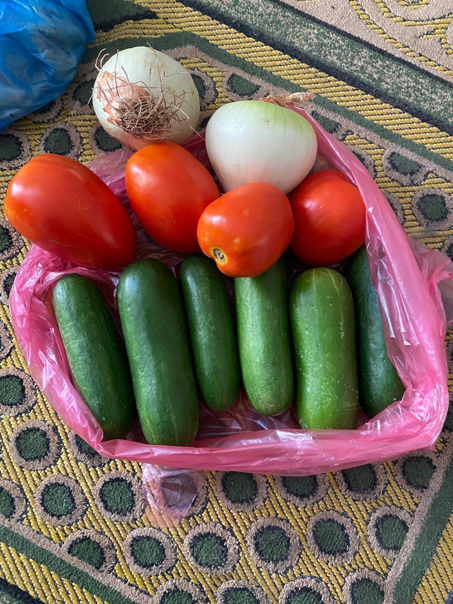 Shadi_ed99's tweet image. Recently, all I ate was oats, 20 gram in the morning for the whole day. We didn't have anything else. I was so hungry all the time.
But thanks to your support, I was able to buy some food for my family, they were so happy! 🙏🥹
Please keep helping: tinyurl.com/ShadiEd
If…