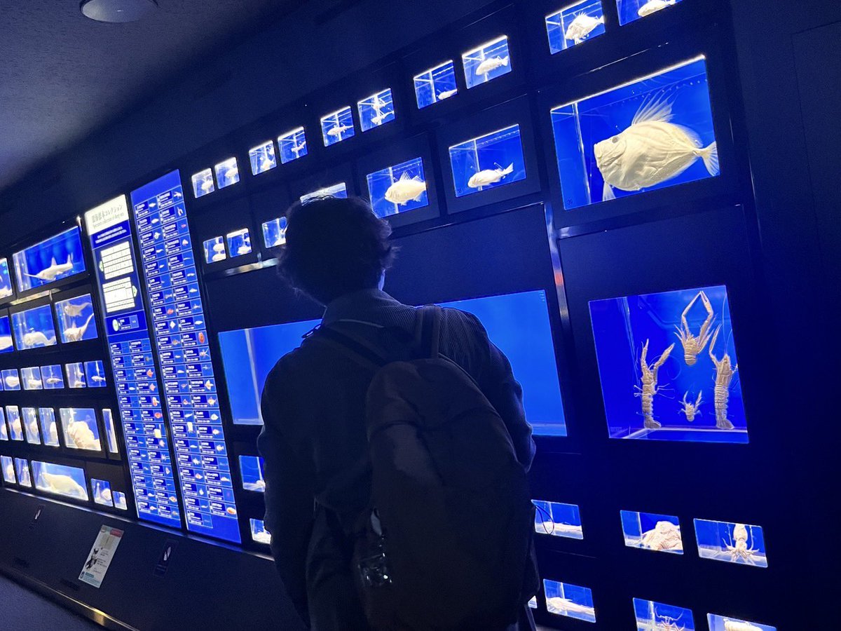 mikamama422's tweet image. はるとさんと水族館マリンワールド

楽しかったなー🐟🐬✨
近くに水族館がある環境が羨ましい✨