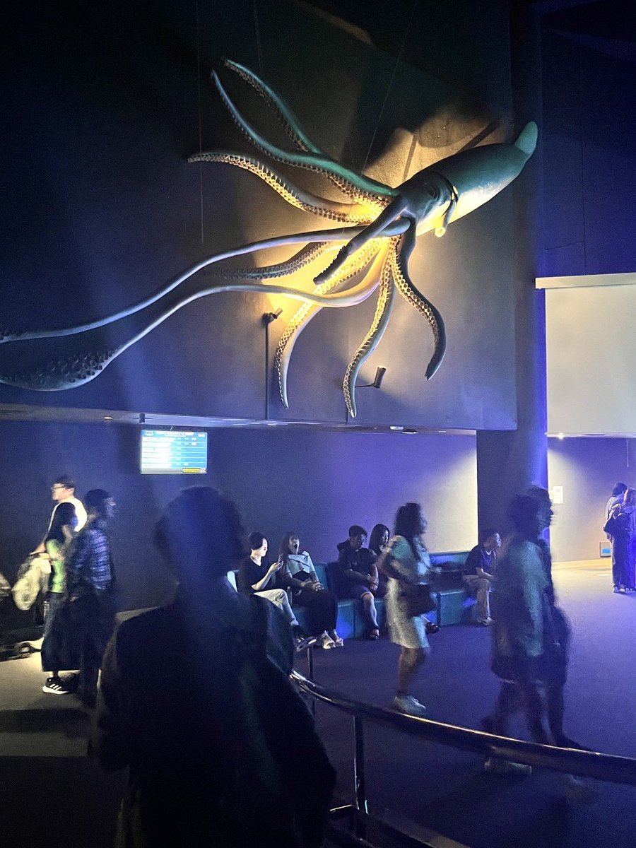 mikamama422's tweet image. はるとさんと水族館マリンワールド

楽しかったなー🐟🐬✨
近くに水族館がある環境が羨ましい✨
