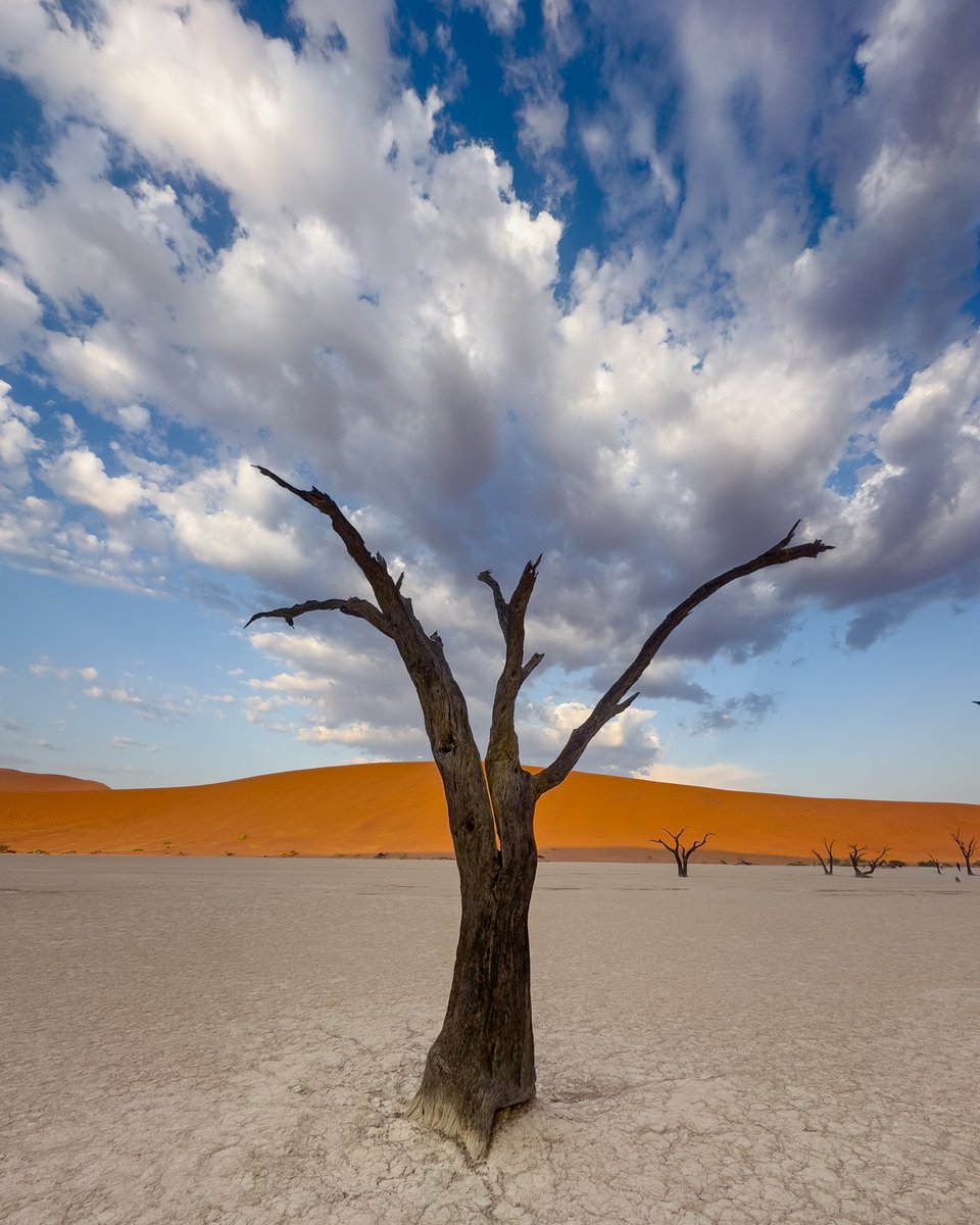 Touch the Sky. Namibia