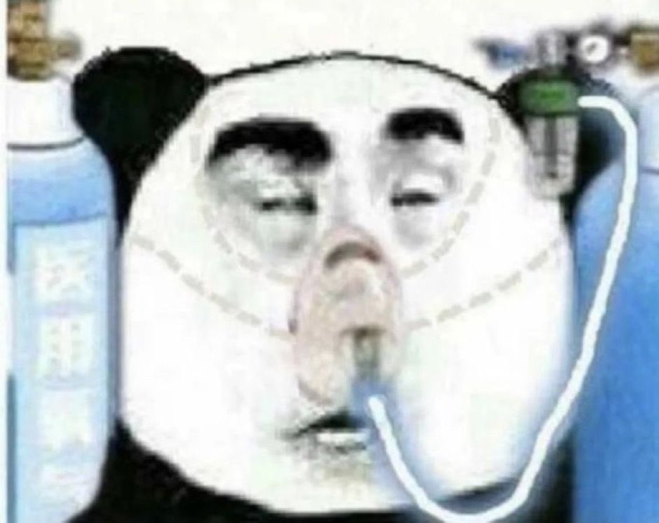 baesullyu's tweet image. 