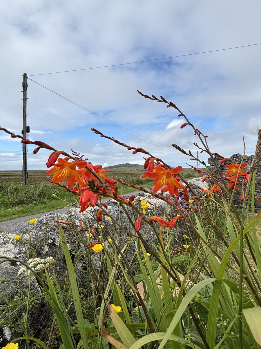 Good afternoon #hebrides and beyond ! 

radio transmitter #BenHough

1437 hrs.      28/07/25