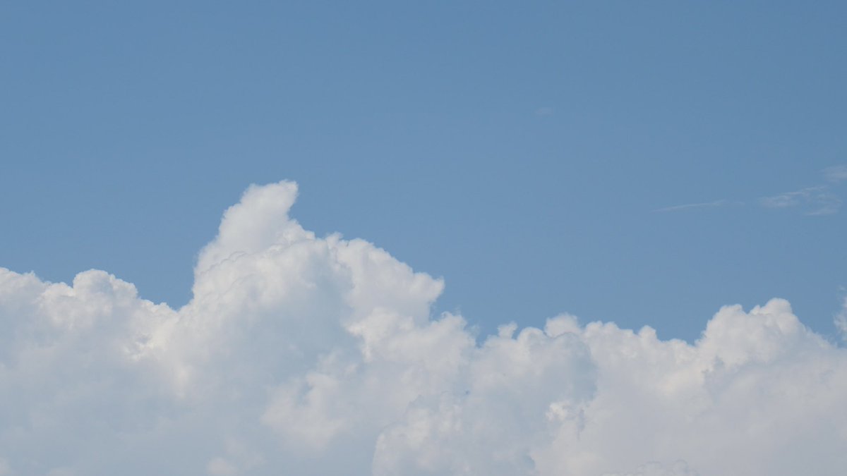 C_O_SK's tweet image. 🎐